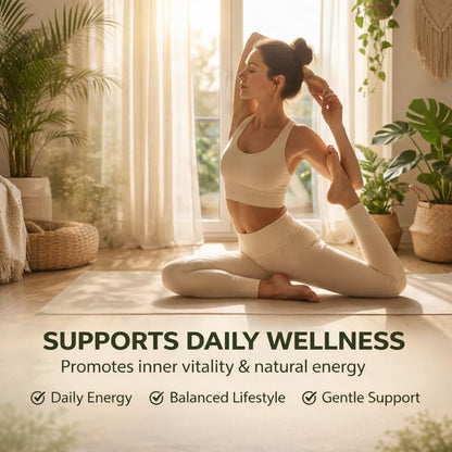 Aacnre Lymphaire Lymphatic Drainage Drops, Herbal Fluid Balance Support, Lymphatic System Support, Immune System & General Wellness, Vegan & Non-GMO, 2 Fl Oz (1) - dailyvitalstore