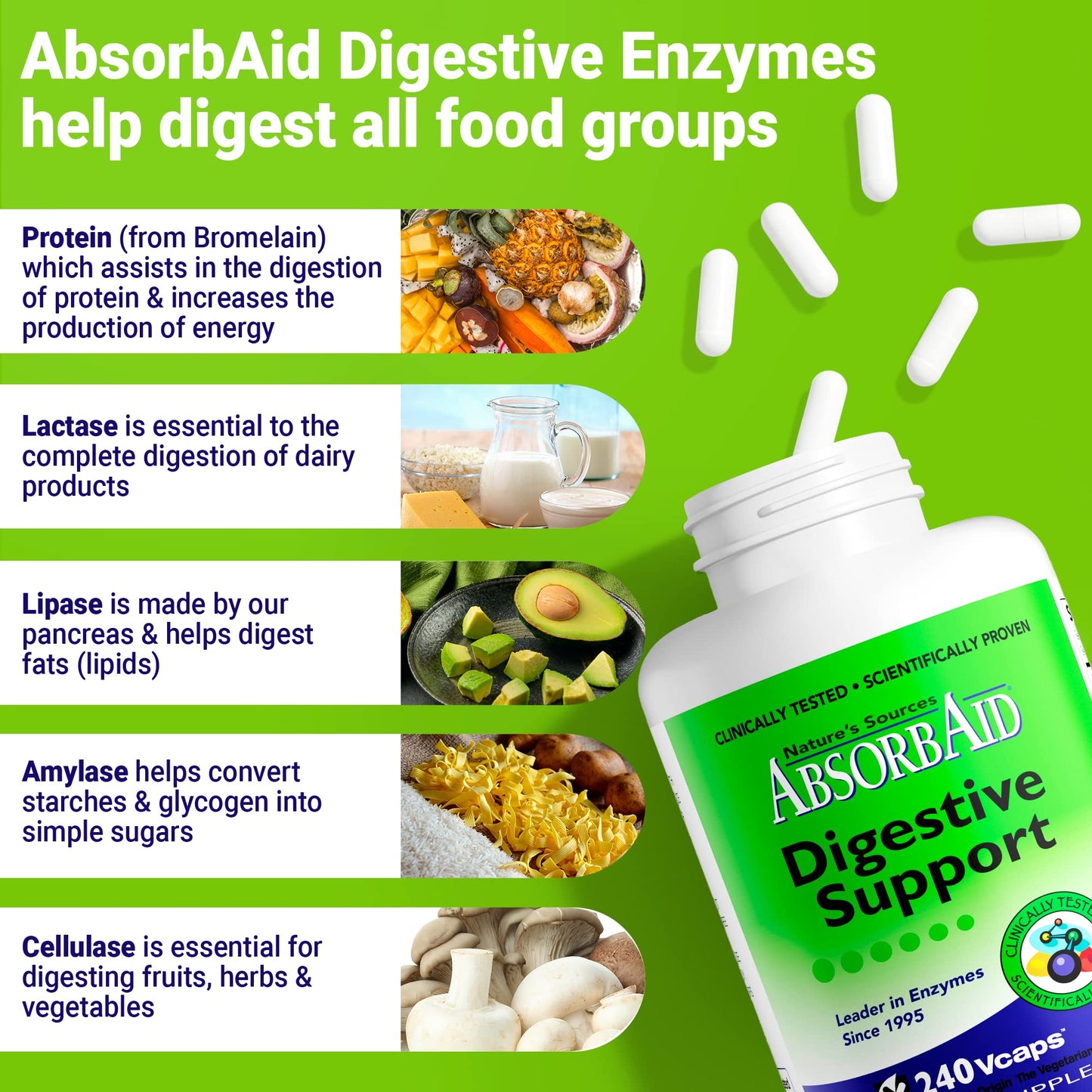AbsorbAid Digestive Enzymes 240 vCaps, Proven to Increase Vital Nutrient Absorption by up to 71% - dailyvitalstore