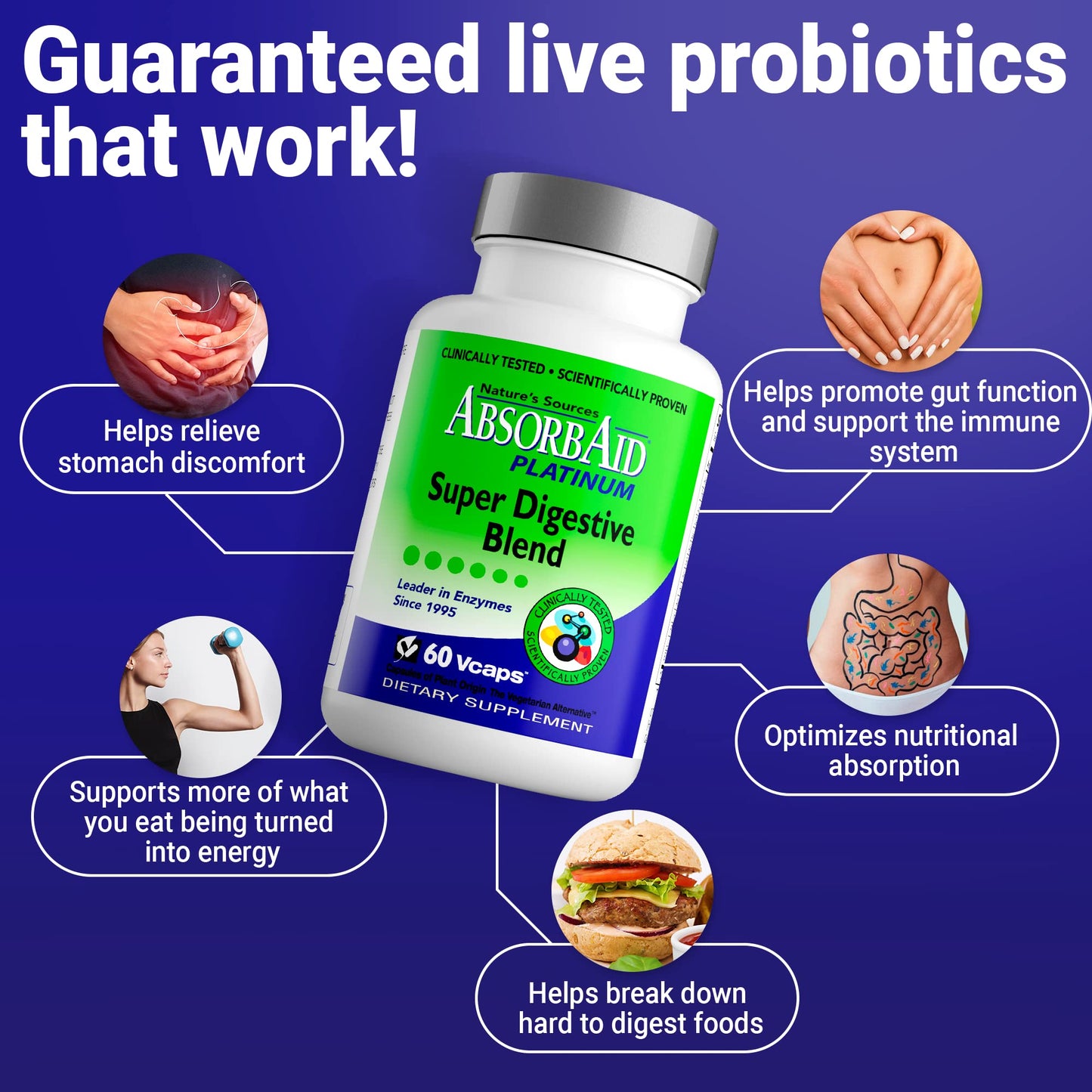 AbsorbAid Platinum Digestive Enzyme Support 60 vCaps, 12 Digestive Enzymes Plus 2 Probiotics for Maximum Relief - dailyvitalstore