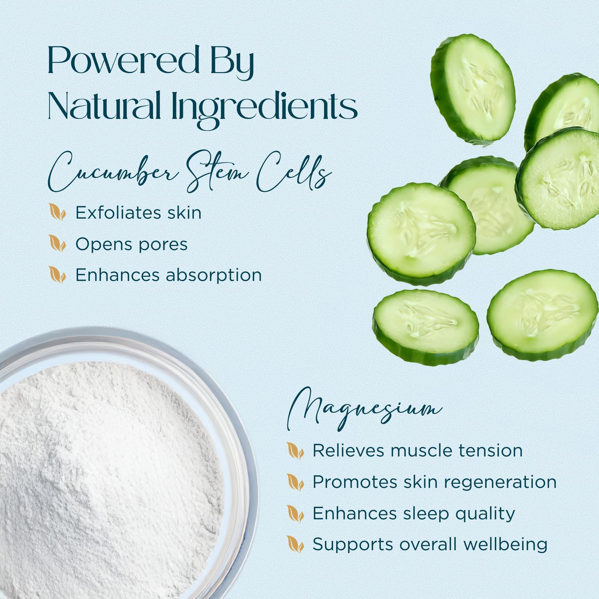 Abundant Natural Health MAG I.C. Magnesium Gel with Cucumber Stem Cells - Fast Muscle Relief, Soothing, Stingless, Safe for Sensitive Skin, Fragrance-Free, 200mL - dailyvitalstore