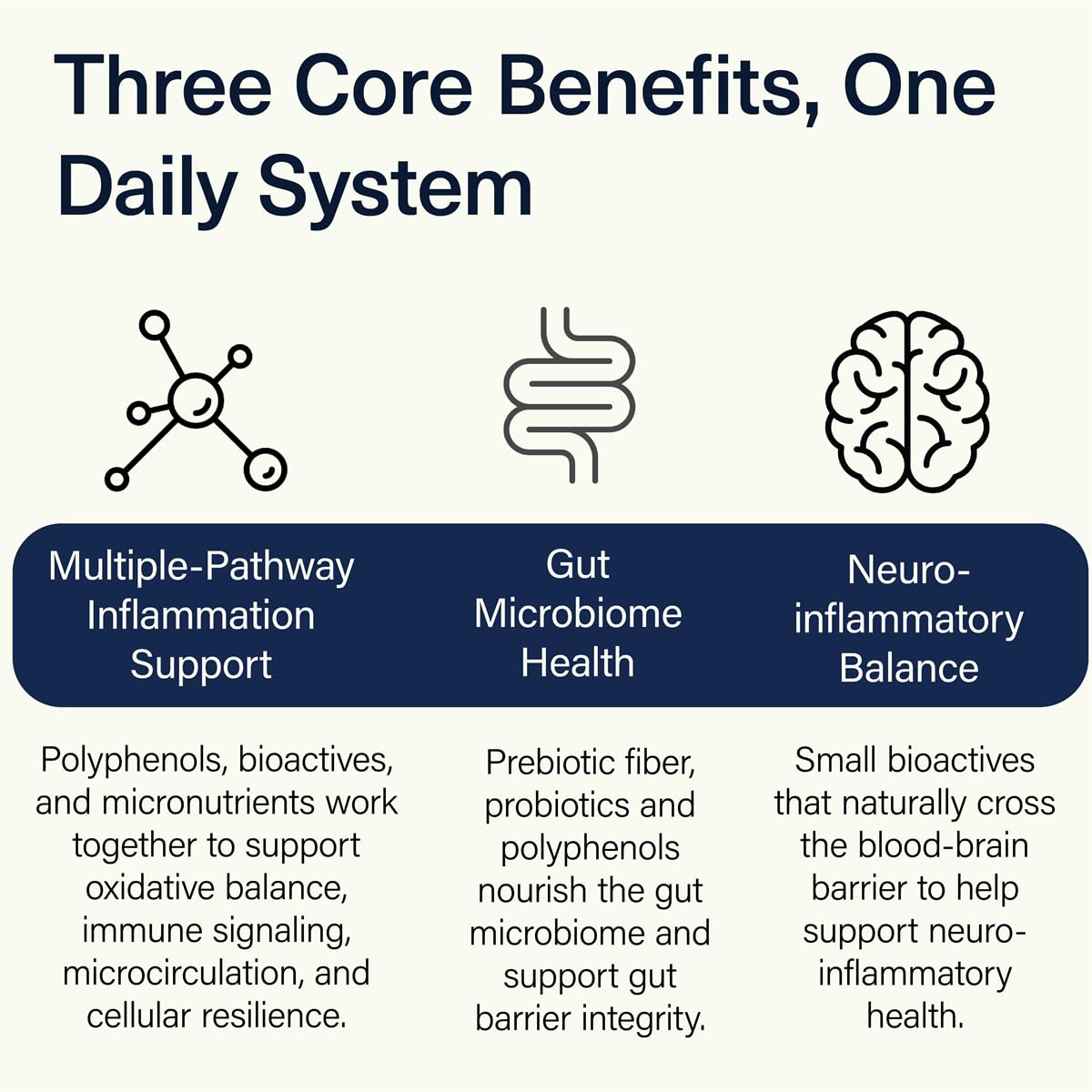 ACEND Advanced Inflammatory Support Powdered Drink Mix | Evidence-Based Polyphenols + Prebiotic Fiber + Probiotics | D3+K2, Minerals & Electrolytes | Non-GMO - dailyvitalstore