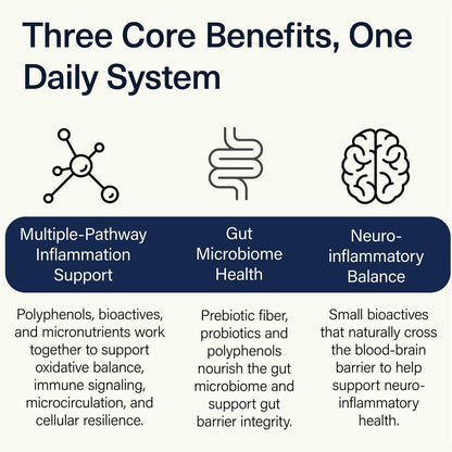 ACEND Advanced Inflammatory Support Powdered Drink Mix | Evidence-Based Polyphenols + Prebiotic Fiber + Probiotics | D3+K2, Minerals & Electrolytes | Non-GMO - dailyvitalstore