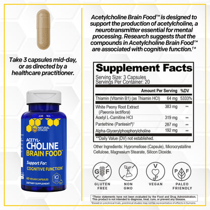 Acetylcholine Brain Food - Acetyl L-Carnitine & Alpha GPC Supplement - Supports Production of Acetylcholine - Neurotransmitter Supplement - dailyvitalstore