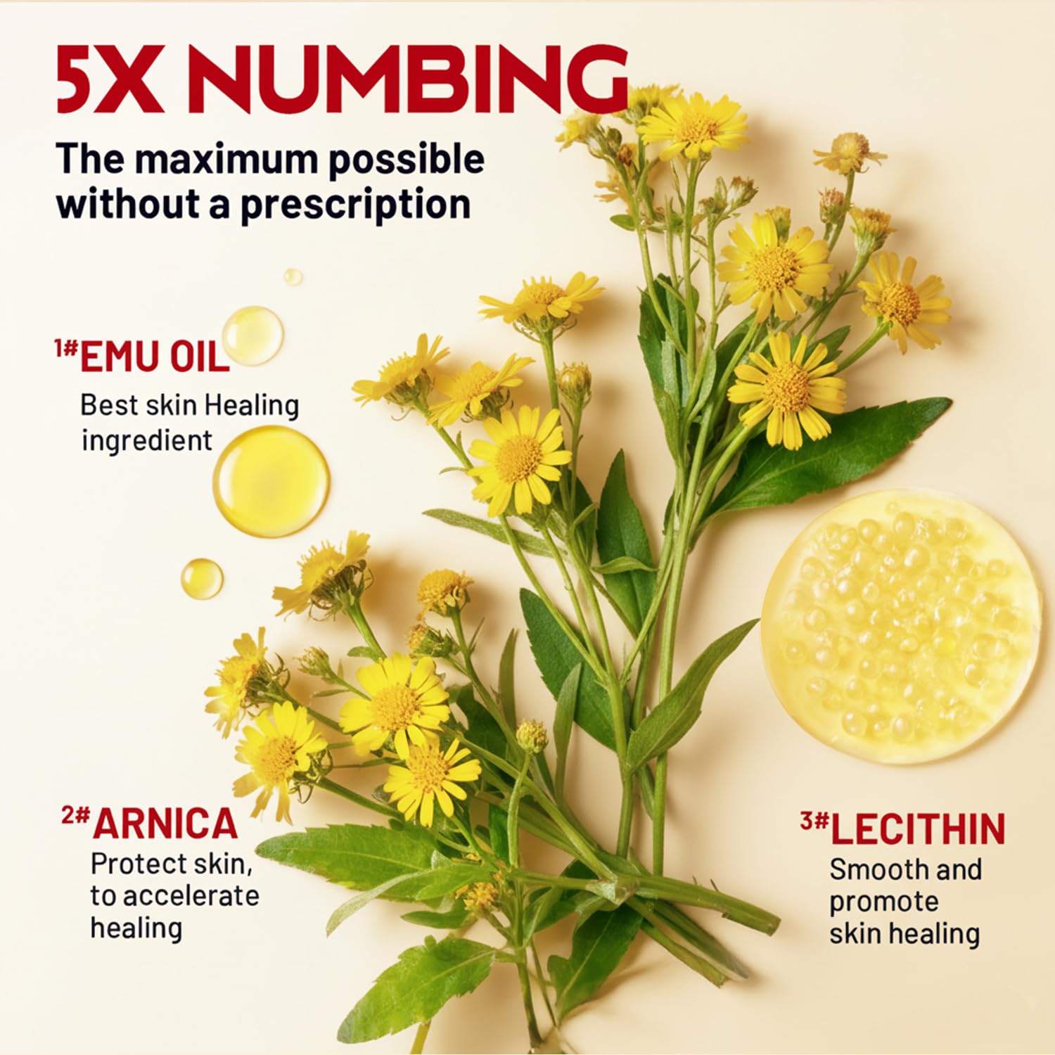 Acolye Numbing Cream Maximum Strength : 5% Lidocaine Topical Anesthetic - Extra Strength 5X Numbing with Menthol Arnica and Emu Oi (2 Fl Oz, Mint Flavor) - dailyvitalstore