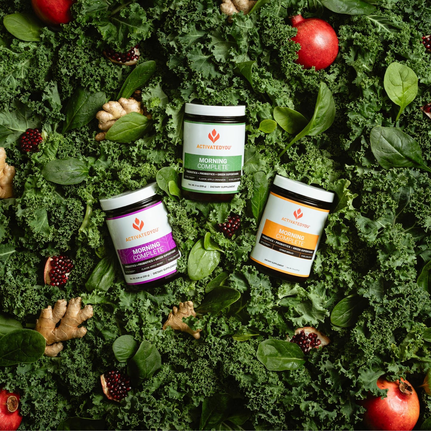 ACTIVATEDYOU Morning Complete Daily Wellness Greens Superfood Drink Mix for Gut Health w/Prebiotics, Probiotics, Antioxidants, Green Superfoods, - dailyvitalstore