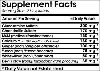Active Joint Support // 90 Capsules // Pure // by PureControl Supplements - dailyvitalstore