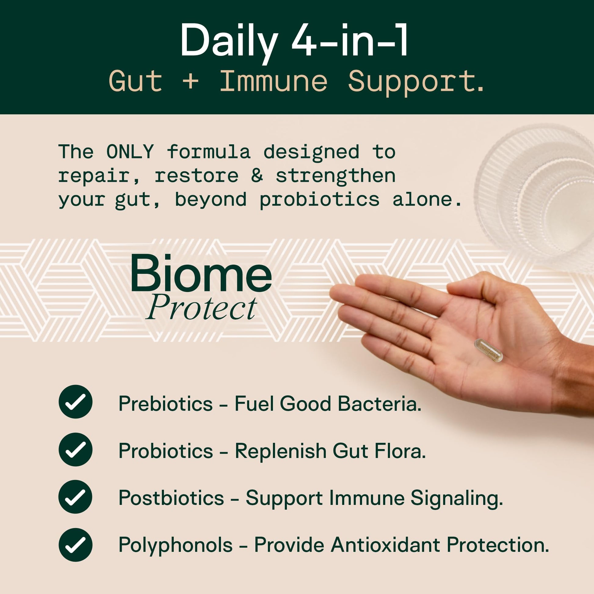 Adapt Naturals 4-in-1 Biome Protect Prebiotics, Probiotics Supplement Postbiotics & Polyphenols for Microbiome, Gut Health & Defense - dailyvitalstore