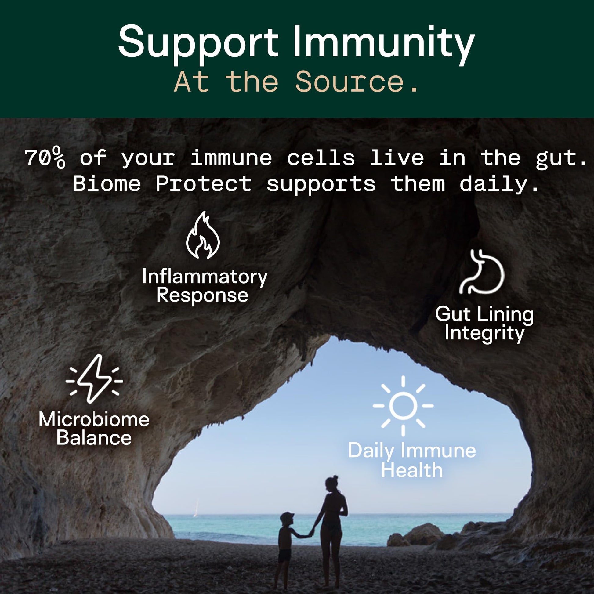 Adapt Naturals 4-in-1 Biome Protect Prebiotics, Probiotics Supplement Postbiotics & Polyphenols for Microbiome, Gut Health & Defense - dailyvitalstore