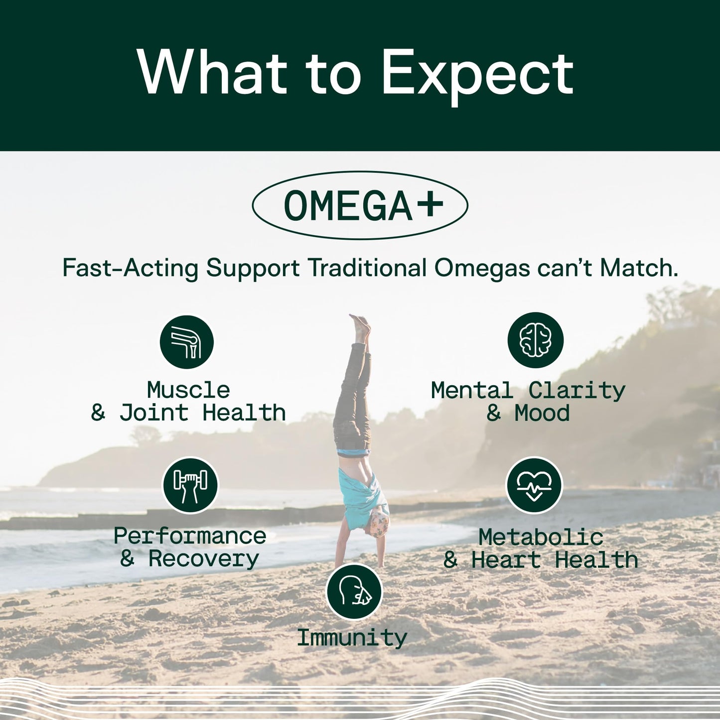 Adapt Naturals Omega 3 Fish Oil Supplement with Bioavailable Curcumin & Black Seed, 1500mg Fish Oil EPA DHA Omega 3 Fatty Acids to Support Joints, Muscles & Heart | Unflavored - 30 Days Supply - dailyvitalstore