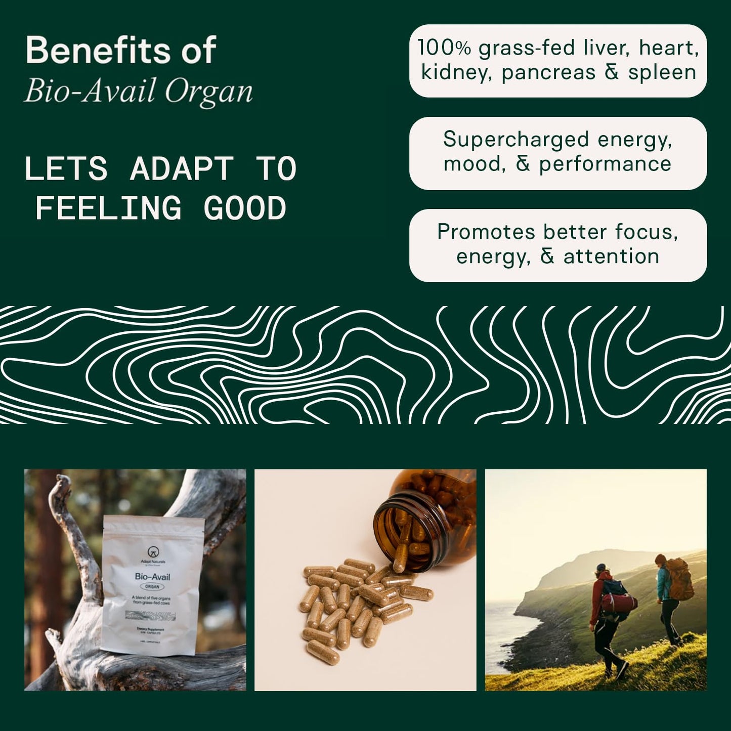 Adapt Naturals Organ Supplement, Bioavailable Grass Fed Beef Liver Capsules, Blend of Liver, Heart, Kidney, Pancreas & Spleen, Support Liver Cleanse Detox & Repair | Source of CoQ10-30 Days Supply - dailyvitalstore