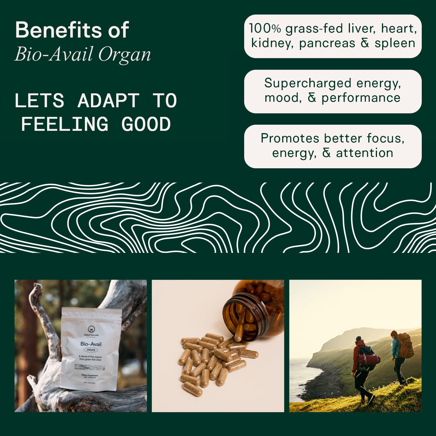 Adapt Naturals Organ Supplement, Bioavailable Grass Fed Beef Liver Capsules, Blend of Liver, Heart, Kidney, Pancreas & Spleen, Support Liver Cleanse Detox & Repair | Source of CoQ10-30 Days Supply - dailyvitalstore