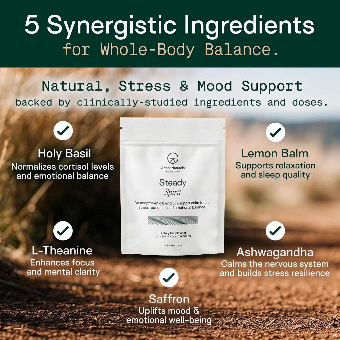 Adapt Naturals Steady Spirit Stress, Anxiety & Mood Support Supplement for Women and Men with Ashwagandha, L-Theanine, Holy Basil, Saffron, and Lemon Balm - Stress Relief Supplement - 30 Day Supply - dailyvitalstore