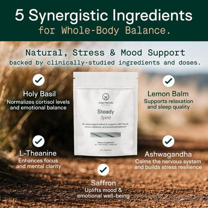 Adapt Naturals Steady Spirit Stress, Anxiety & Mood Support Supplement for Women and Men with Ashwagandha, L-Theanine, Holy Basil, Saffron, and Lemon Balm - Stress Relief Supplement - 30 Day Supply - dailyvitalstore