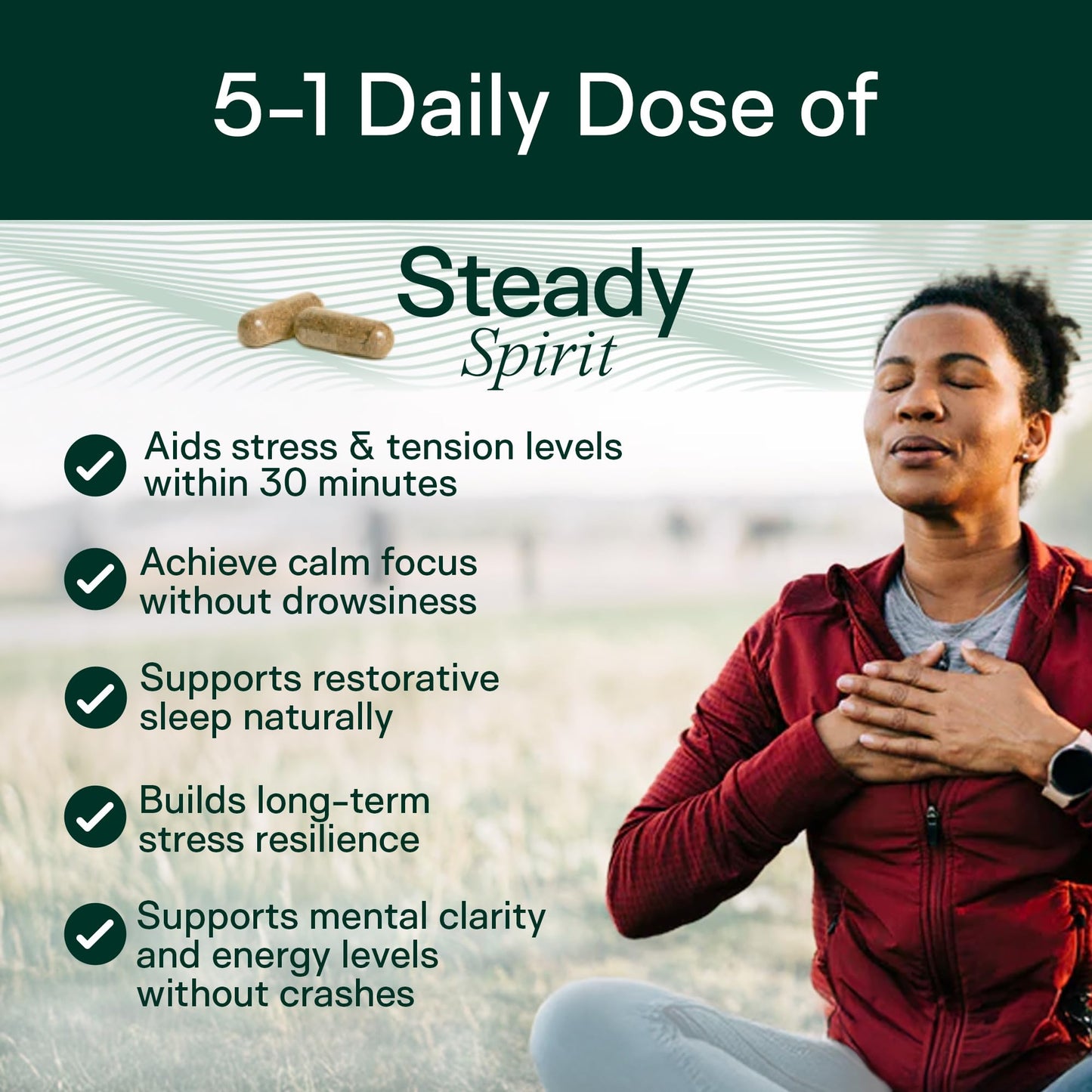 Adapt Naturals Steady Spirit Stress, Anxiety & Mood Support Supplement for Women and Men with Ashwagandha, L-Theanine, Holy Basil, Saffron, and Lemon Balm - Stress Relief Supplement - 30 Day Supply - dailyvitalstore