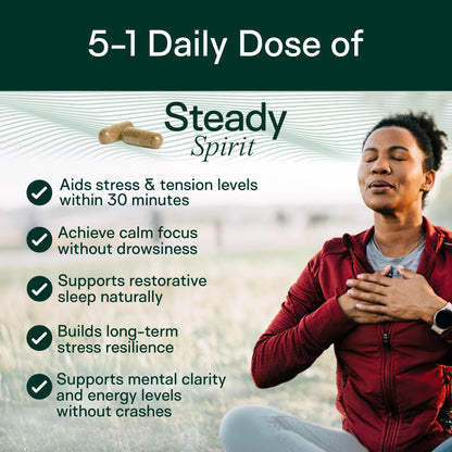 Adapt Naturals Steady Spirit Stress, Anxiety & Mood Support Supplement for Women and Men with Ashwagandha, L-Theanine, Holy Basil, Saffron, and Lemon Balm - Stress Relief Supplement - 30 Day Supply - dailyvitalstore