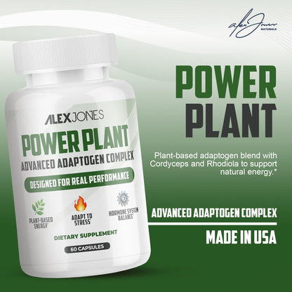Adaptogenic Mushrooms with Cordyceps & Rhodiola – Daily Blend with Zinc, Selenium & Boron –Vegan Mushroom Capsules Supplement for Active Lifestyles – No Fillers or Additives – 60 Count - dailyvitalstore