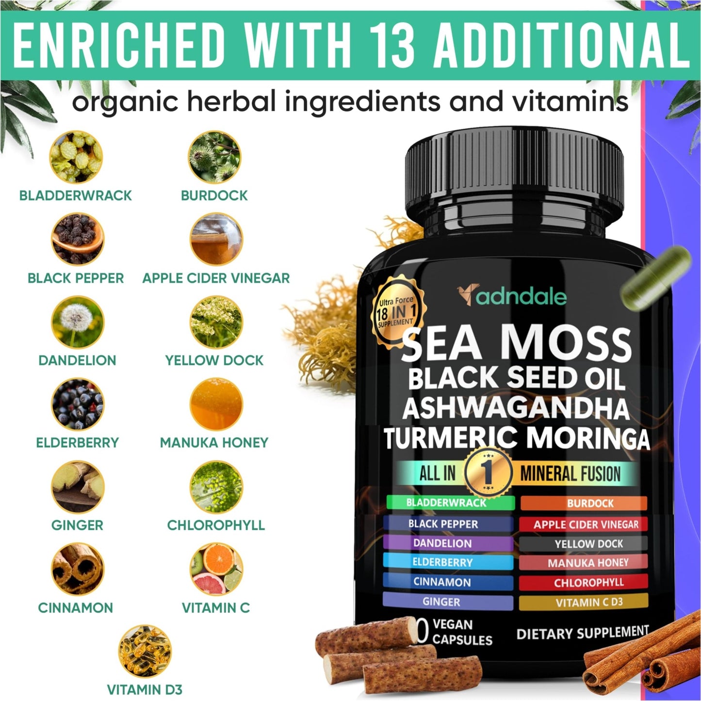 Adndale Sea Moss Capsules - Sea Moss Blend with Ashwagandha, Turmeric & Black Seed Oil - 180 Count - dailyvitalstore