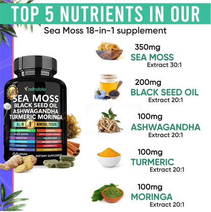 Adndale Sea Moss Capsules - Sea Moss Blend with Ashwagandha, Turmeric & Black Seed Oil - 180 Count - dailyvitalstore