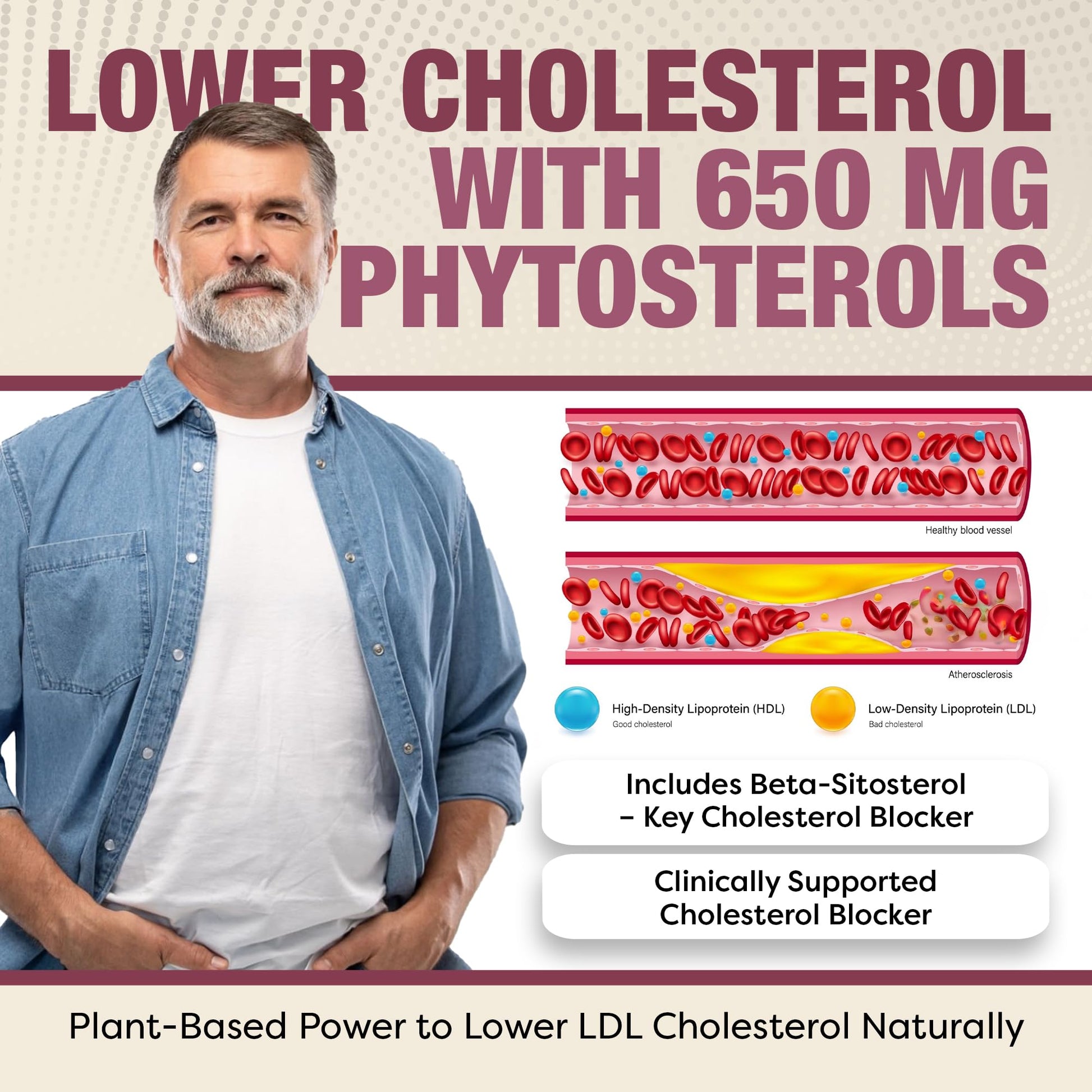 Advanced Cholesterol Health Complex with Plant Sterols. Cholesterol & Lipid Support Supplement for Healthy Heart & Cholesterol Levels for Men & Women. 120 Capsules - dailyvitalstore