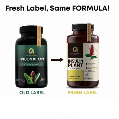 Afiyah Organic - Premium Quality Costus Igneus (Insulin Plant) Capsules - Easy to Swallow 120 Veggie Capsules (1 Month Supply) - Made in the USA - Including Complete Health Support Program - dailyvitalstore