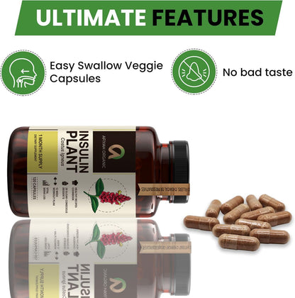 Afiyah Organic - Premium Quality Costus Igneus (Insulin Plant) Capsules - Easy to Swallow 120 Veggie Capsules (1 Month Supply) - Made in the USA - Including Complete Health Support Program - dailyvitalstore