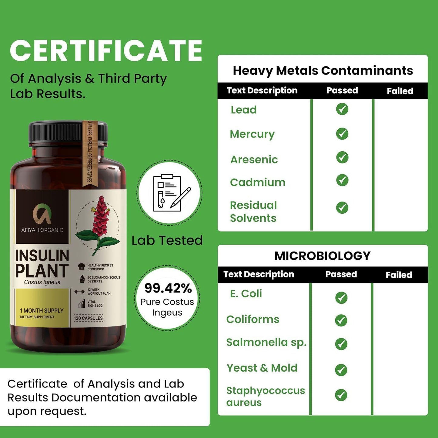 Afiyah Organic - Premium Quality Costus Igneus (Insulin Plant) Capsules - Easy to Swallow 120 Veggie Capsules (1 Month Supply) - Made in the USA - Including Complete Health Support Program - dailyvitalstore
