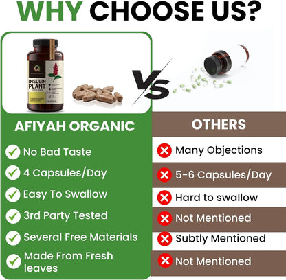 Afiyah Organic - Premium Quality Costus Igneus (Insulin Plant) Capsules - Easy to Swallow 120 Veggie Capsules (1 Month Supply) - Made in the USA - Including Complete Health Support Program - dailyvitalstore