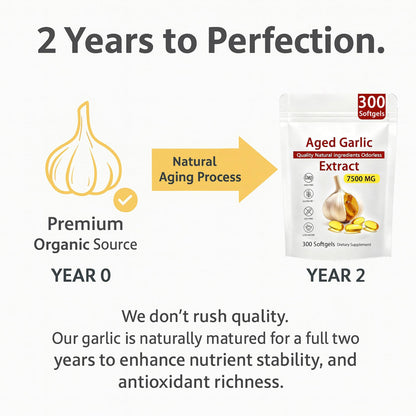 Aged Garlic Extract – 300 Count Odorless Garlic Supplement for Heart & Immune Support – Non-GMO, All-Natural Softgels, 2-Year Matured for Antioxidant Wellness (1) - dailyvitalstore