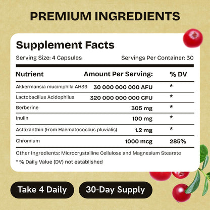 Akkermansia Muciniphila Probiotics 320 Billion CFU| Probiotic and Prebiotic | Akkermansia Probiotics for gut health | Inulin Prebiotic Fiber Capsules Astaxanthin & Berberine & Chromium | 120 capsules - dailyvitalstore