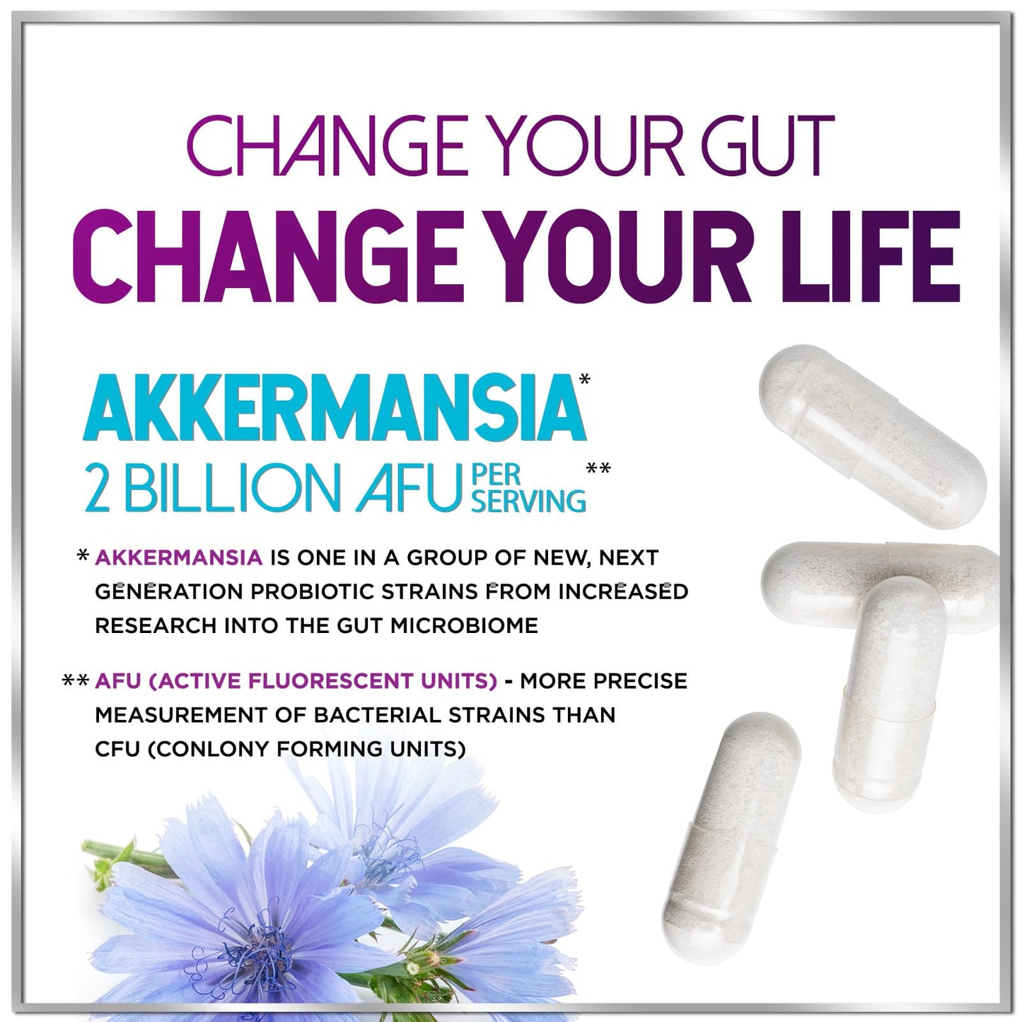 Akkermansia Probiotic - 2 Billion AFU per Serving - Best Strain Production Support with Prebiotic Fiber for Natural Digestive & Gut Health - dailyvitalstore