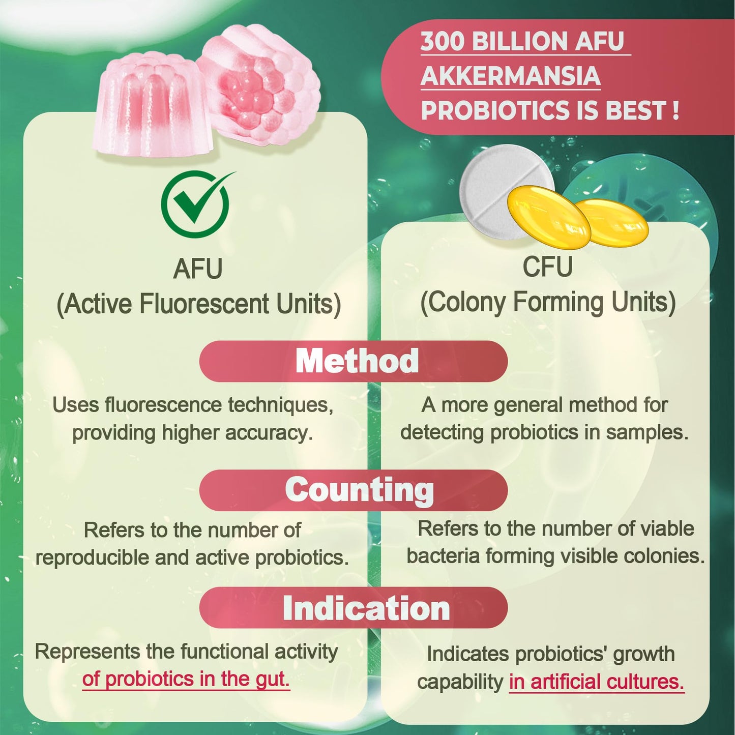 Akkermansia Probiotics Gummies with Prebiotics Fiber, 300 Billion AFU Akkermansia Muciniphila, with Polyphenol Fruits, Resistant Starch - dailyvitalstore