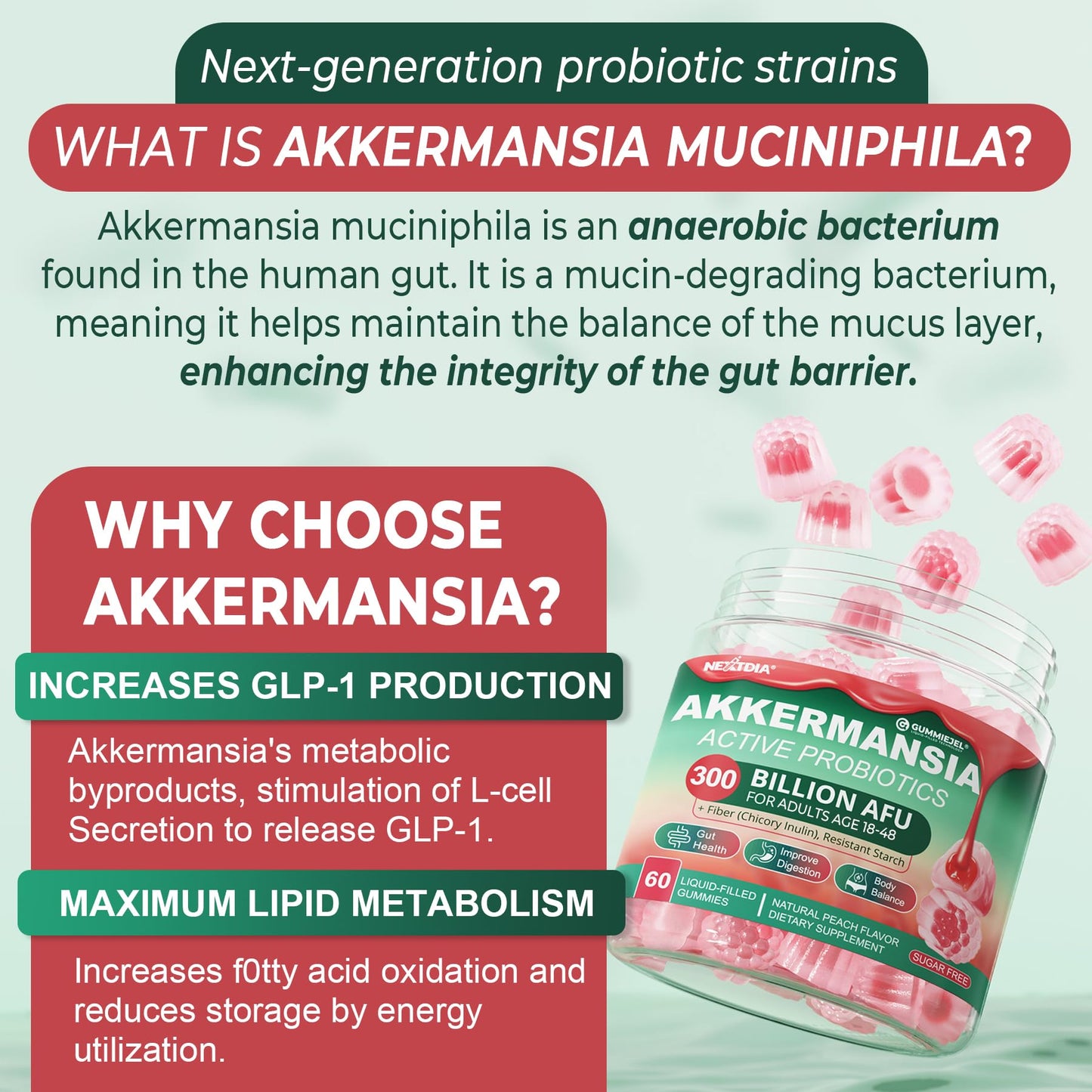 Akkermansia Probiotics Gummies with Prebiotics Fiber, 300 Billion AFU Akkermansia Muciniphila, with Polyphenol Fruits, Resistant Starch - dailyvitalstore