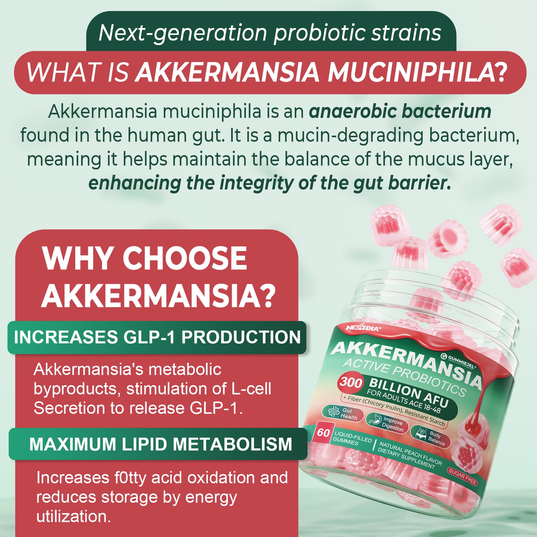 Akkermansia Probiotics Gummies with Prebiotics Fiber, 300 Billion AFU Akkermansia Muciniphila, with Polyphenol Fruits, Resistant Starch - dailyvitalstore