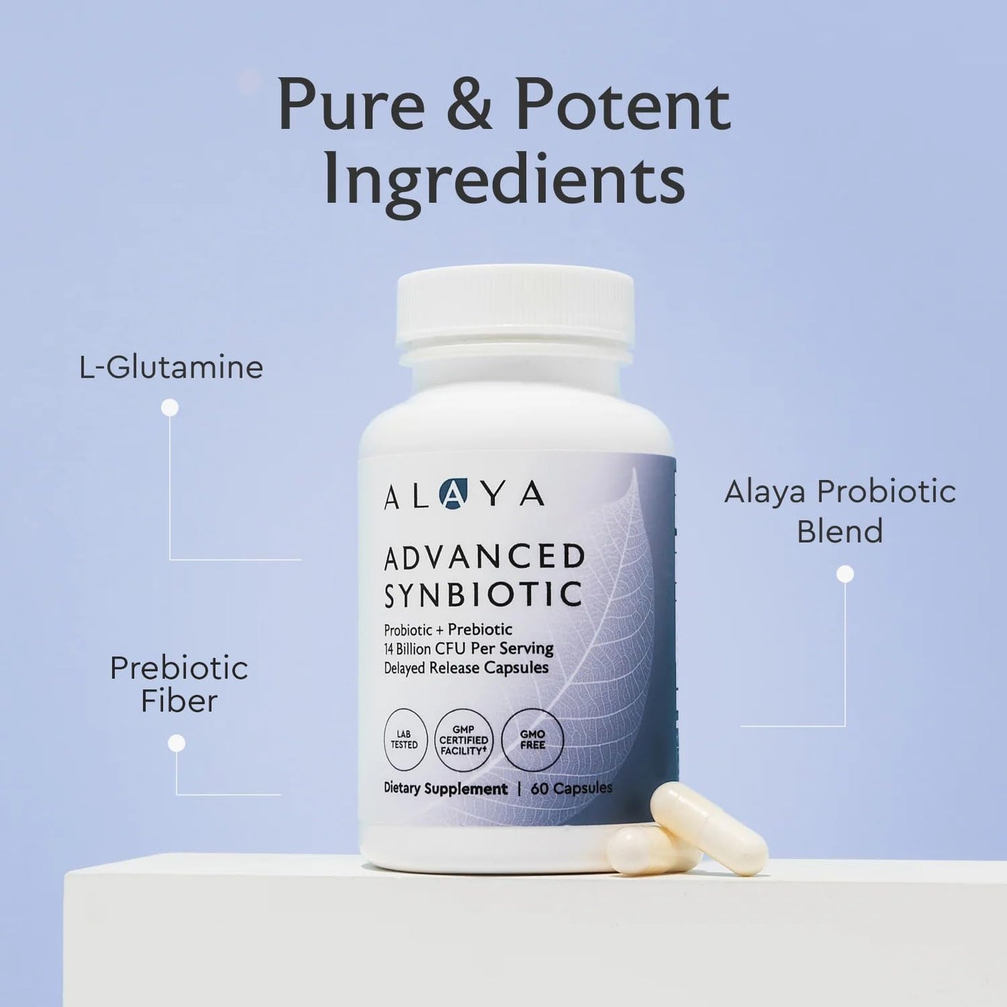 Alaya Naturals Advanced Synbiotic - Probiotic + Prebiotic - 14 Billion CFU Delayed Release Probiotic Supplement with Prebiotics from Sunfiber®, and L-glutamine for Gut Lining Integrity - 60 Capsules - dailyvitalstore