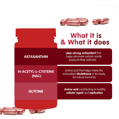 Alexsyn Antioxidant Support Formula – Concentrated Vegan & Gluten-Free Capsules – Helps Defend Against Oxidative Stress and Maintain Daily Vitality – 60 Capsules - dailyvitalstore