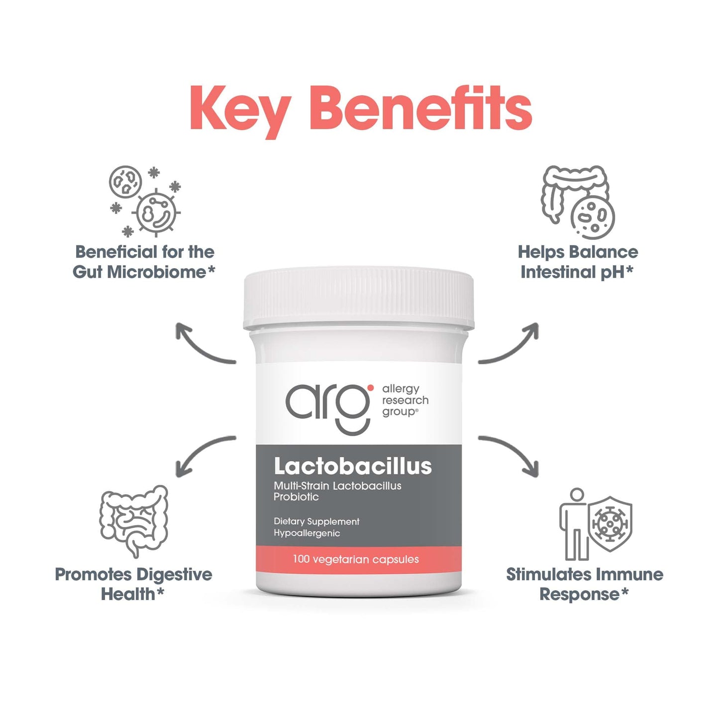 Allergy Research Group Lactobacillus Supplement - Probiotics for Men & Women, Digestive Health, Gut Health, Vegetarian Capsules - 100 Count - dailyvitalstore