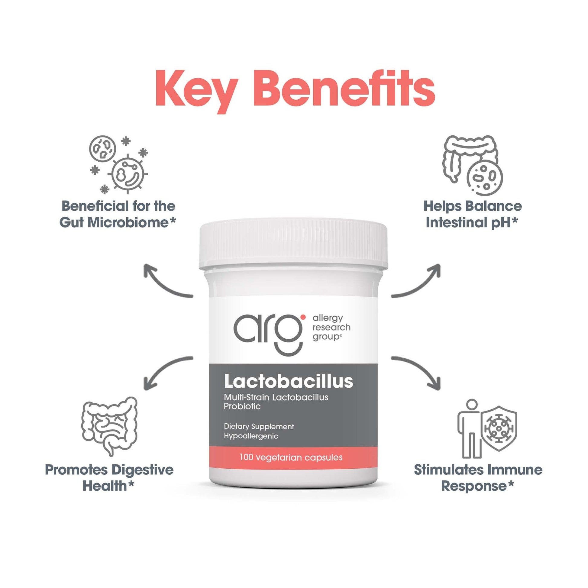 Allergy Research Group Lactobacillus Supplement - Probiotics for Men & Women, Digestive Health, Gut Health, Vegetarian Capsules - 100 Count - dailyvitalstore