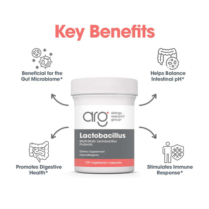 Allergy Research Group Lactobacillus Supplement - Probiotics for Men & Women, Digestive Health, Gut Health, Vegetarian Capsules - 100 Count - dailyvitalstore