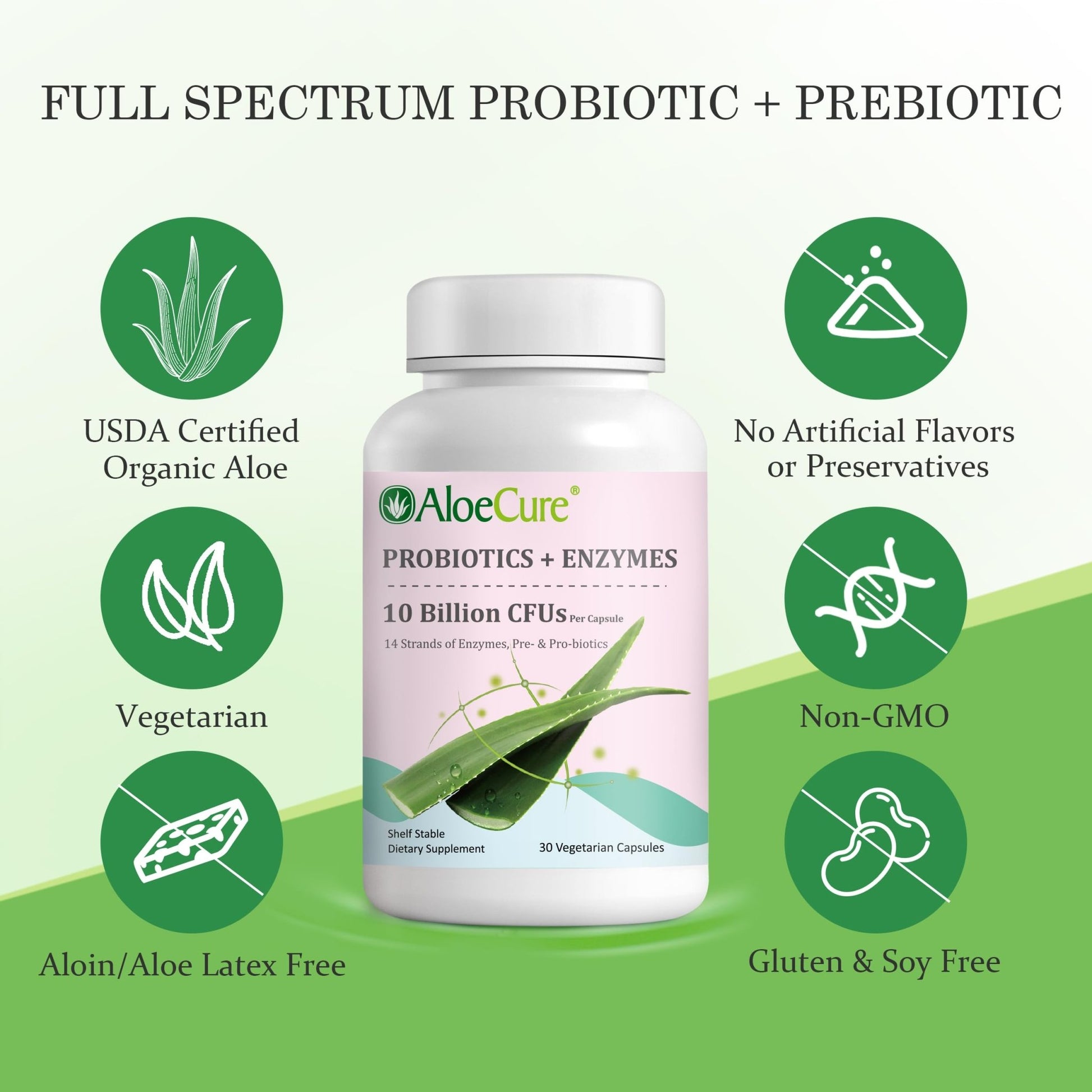 AloeCure Daily Probiotics 10 Billion CFU for Digestive Support 8 Strains, 6 Prebiotics & Enzymes - Digestive Supplement with Bromelain for Women & Men - dailyvitalstore