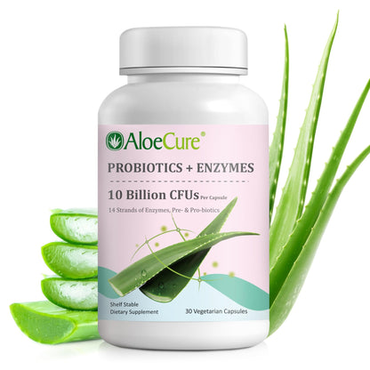 AloeCure Daily Probiotics 10 Billion CFU for Digestive Support 8 Strains, 6 Prebiotics & Enzymes - Digestive Supplement with Bromelain for Women & Men - dailyvitalstore