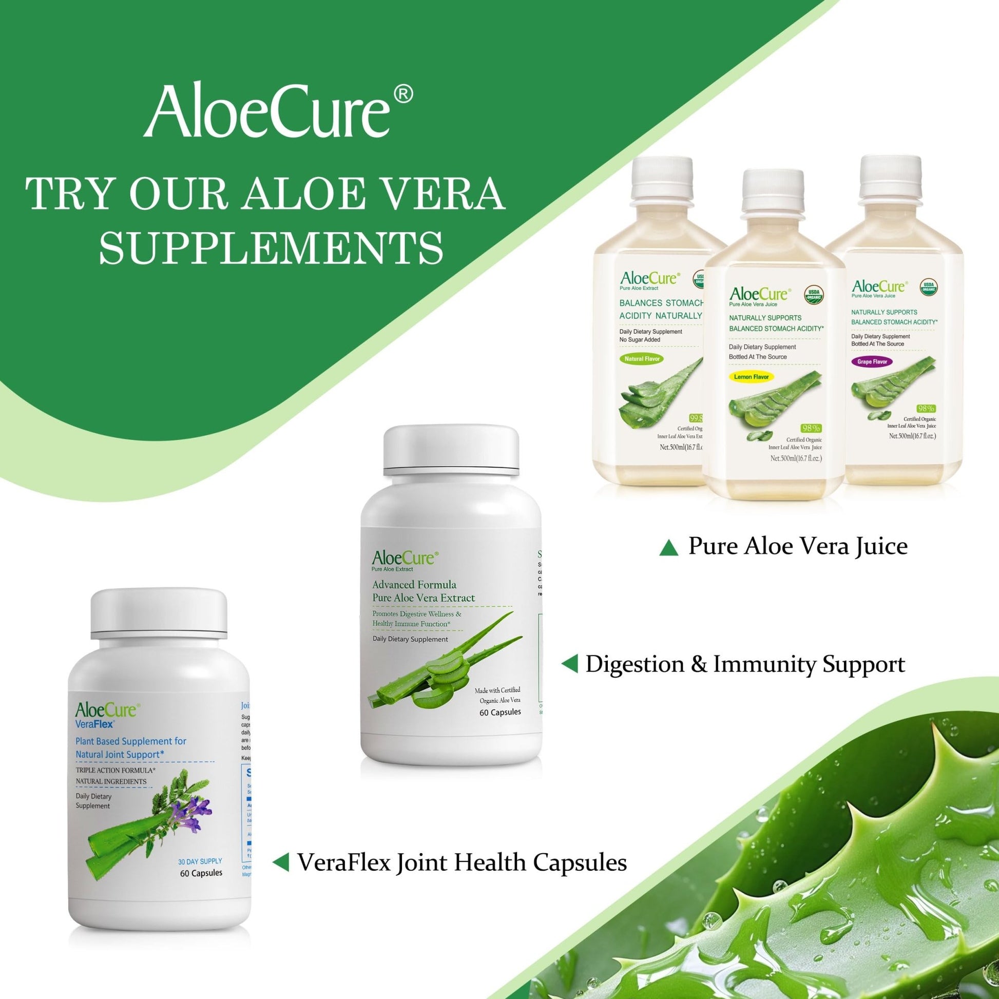 AloeCure Daily Probiotics 10 Billion CFU for Digestive Support 8 Strains, 6 Prebiotics & Enzymes - Digestive Supplement with Bromelain for Women & Men - dailyvitalstore