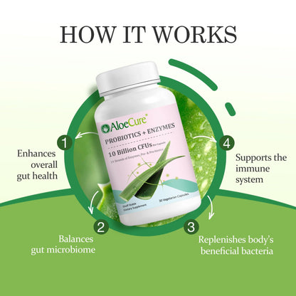 AloeCure Daily Probiotics 10 Billion CFU for Digestive Support 8 Strains, 6 Prebiotics & Enzymes - Digestive Supplement with Bromelain for Women & Men - dailyvitalstore