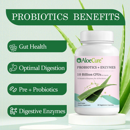 AloeCure Daily Probiotics 10 Billion CFU for Digestive Support 8 Strains, 6 Prebiotics & Enzymes - Digestive Supplement with Bromelain for Women & Men - dailyvitalstore