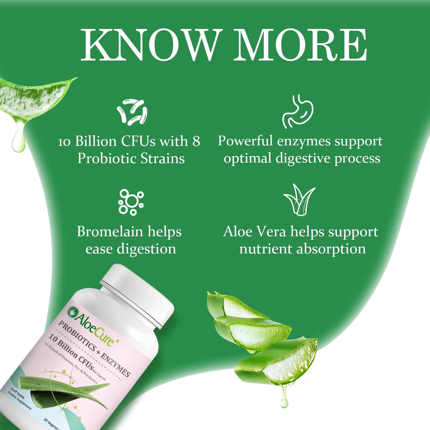 AloeCure Daily Probiotics 10 Billion CFU for Digestive Support 8 Strains, 6 Prebiotics & Enzymes - Digestive Supplement with Bromelain for Women & Men - dailyvitalstore