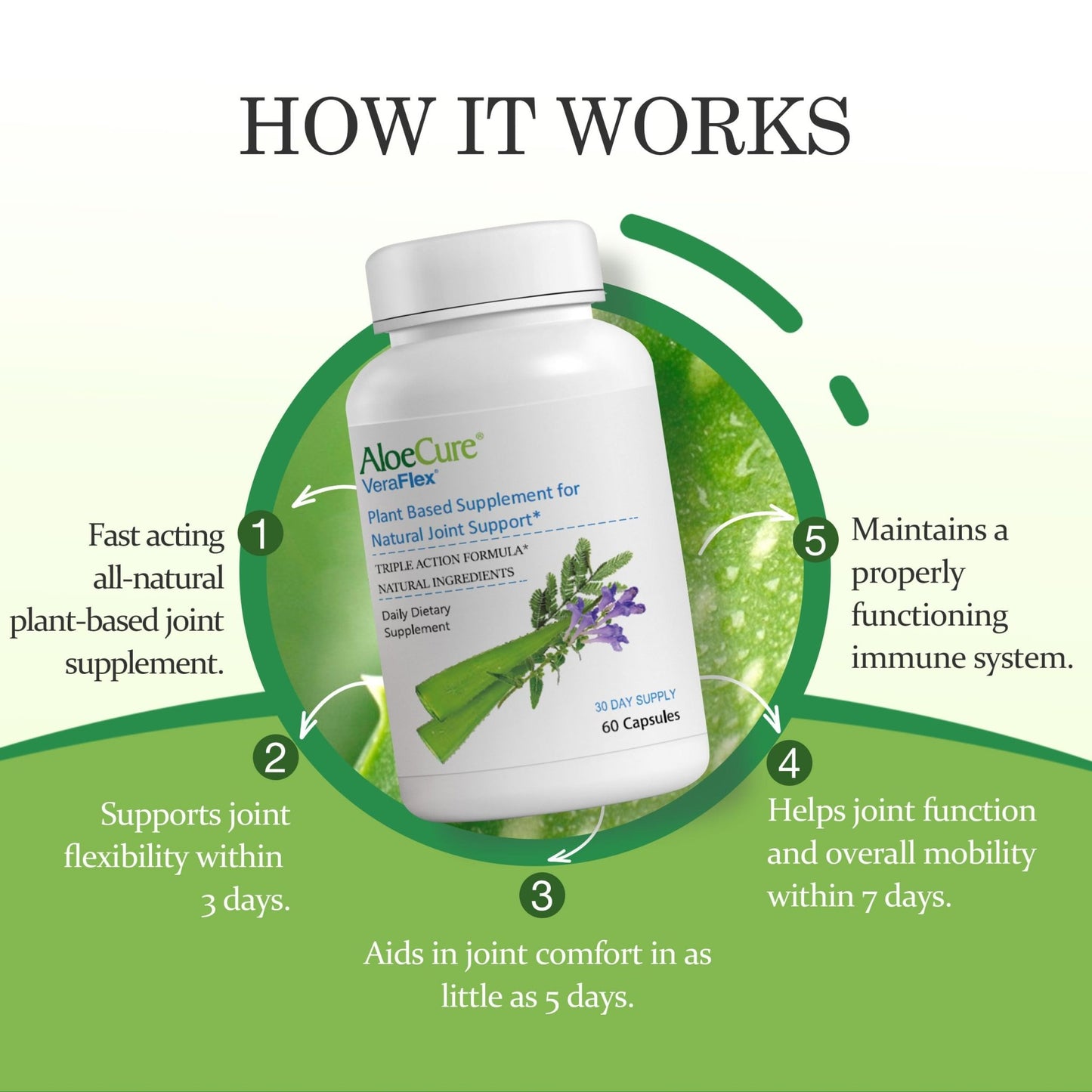 AloeCure VeraFlex Natural Joint Health, 60 Capsules, Clinically Tested Natural Plant-Based Formula to Support Comfort, Mobility and Flexibility - Featuring Organic Aloe Vera - dailyvitalstore