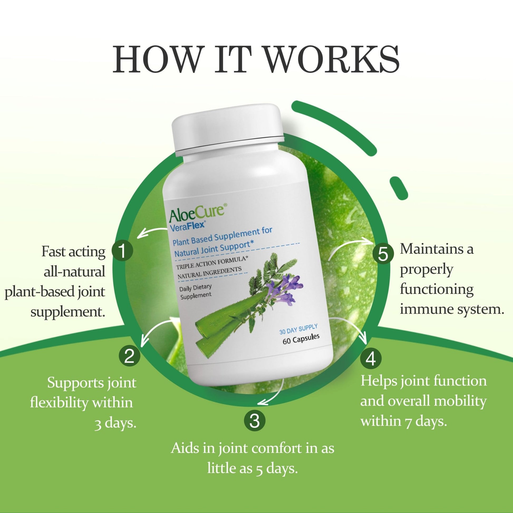 AloeCure VeraFlex Natural Joint Health, 60 Capsules, Clinically Tested Natural Plant-Based Formula to Support Comfort, Mobility and Flexibility - Featuring Organic Aloe Vera - dailyvitalstore