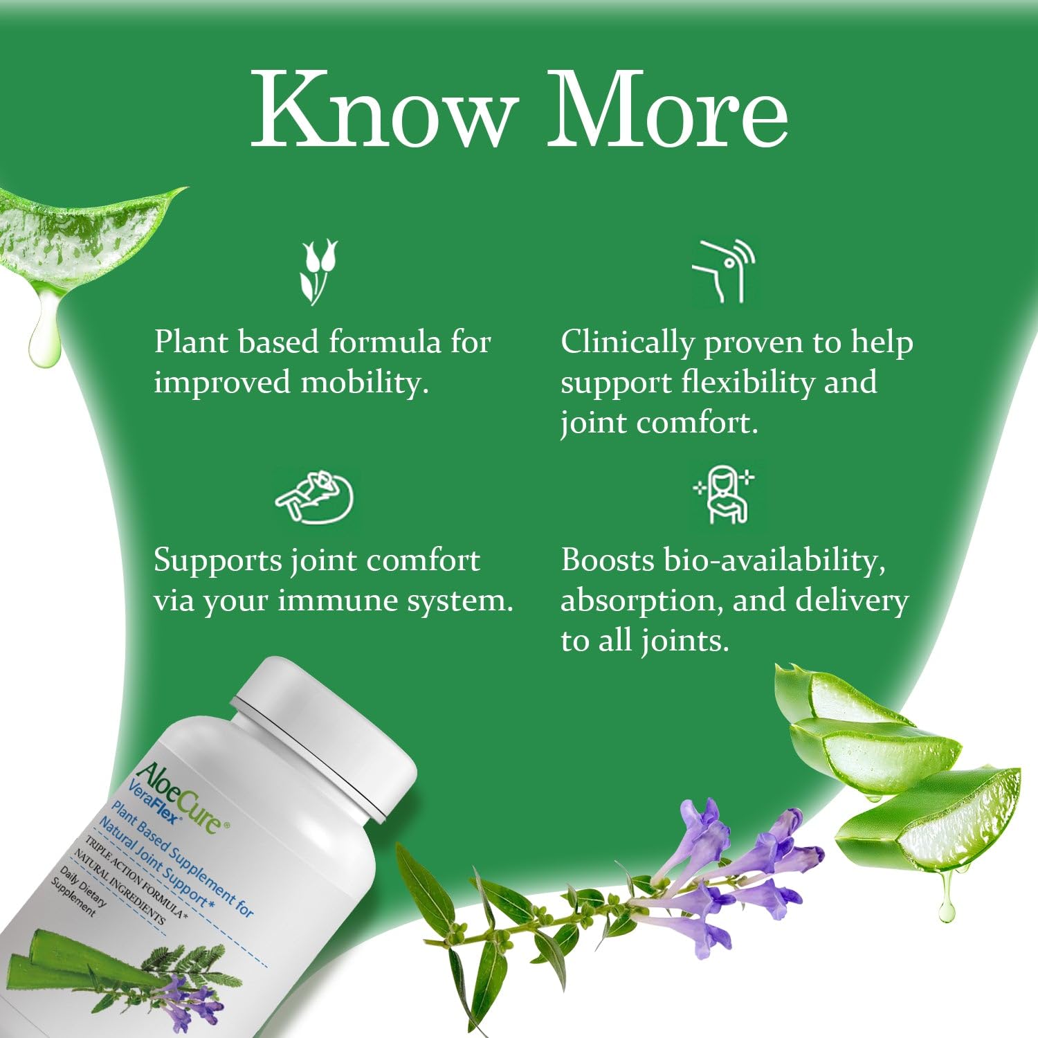 AloeCure VeraFlex Natural Joint Health, 60 Capsules, Clinically Tested Natural Plant-Based Formula to Support Comfort, Mobility and Flexibility - Featuring Organic Aloe Vera, 3-Pack - dailyvitalstore