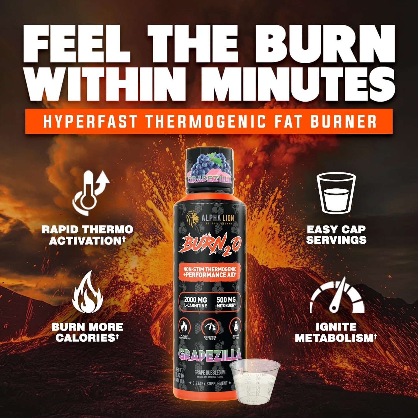 ALPHA LION Burn2O L-Carnitine Liquid 2000mg – Stim Free Super Thermogenic Fat Burner with MitoBurn® & CaloriBurn GP®, Metabolism Booster, Zero Calorie - dailyvitalstore