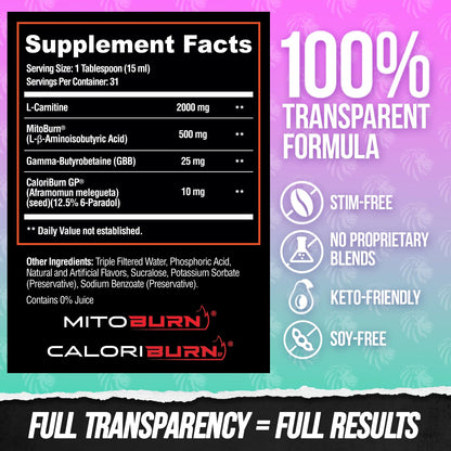 ALPHA LION Burn2O L-Carnitine Liquid 2000mg – Stim Free Super Thermogenic Fat Burner with MitoBurn® & CaloriBurn GP®, Metabolism Booster, Zero Calorie - dailyvitalstore