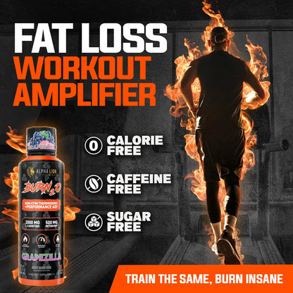 ALPHA LION Burn2O L-Carnitine Liquid 2000mg – Stim Free Super Thermogenic Fat Burner with MitoBurn® & CaloriBurn GP®, Metabolism Booster, Zero Calorie - dailyvitalstore